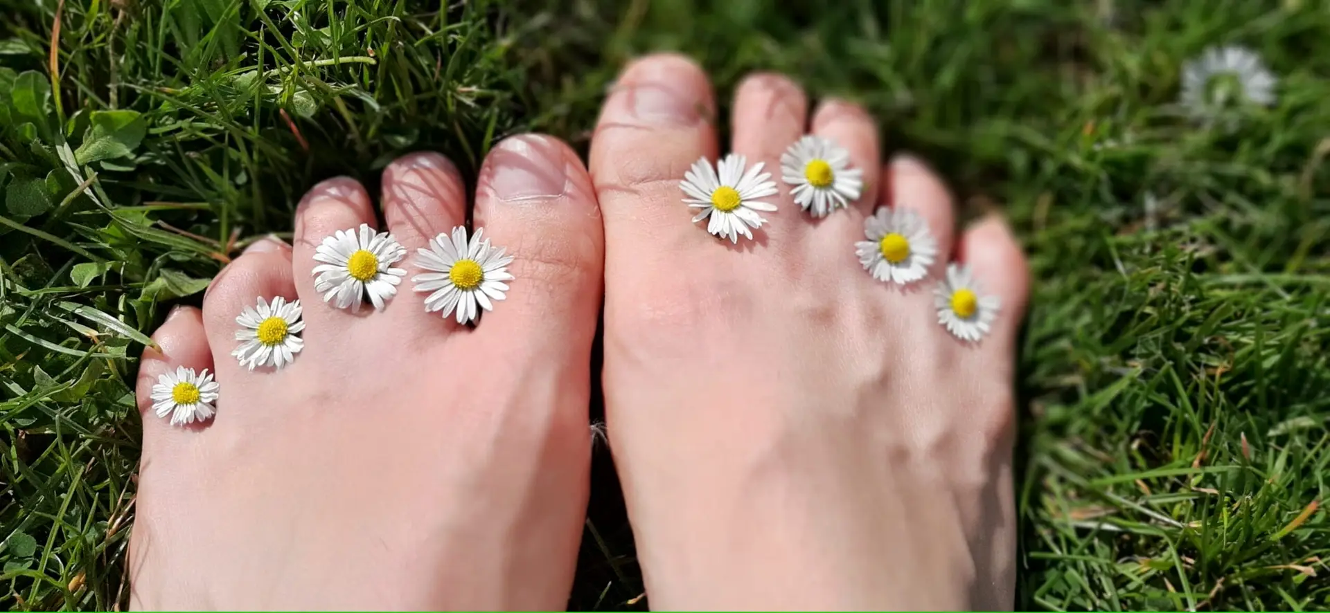 La pratique formelle de Pleine Conscience
